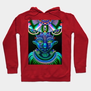 Techno-Shaman (26) - Trippy Psychedelic Art Hoodie